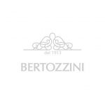 Bertozzini Logo