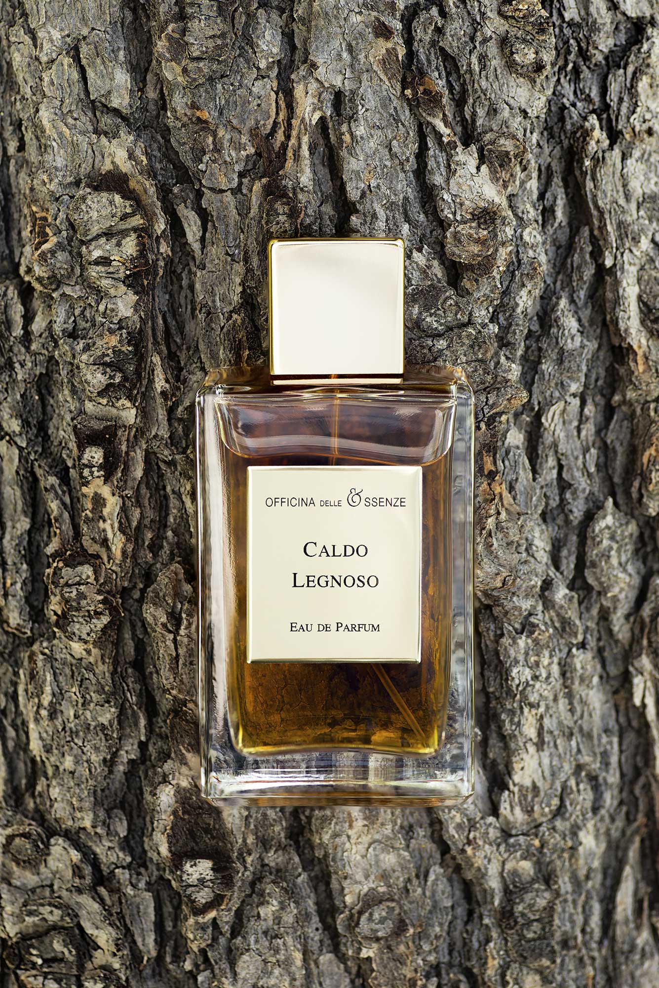 Caldo Legnoso Eau de parfum man niche