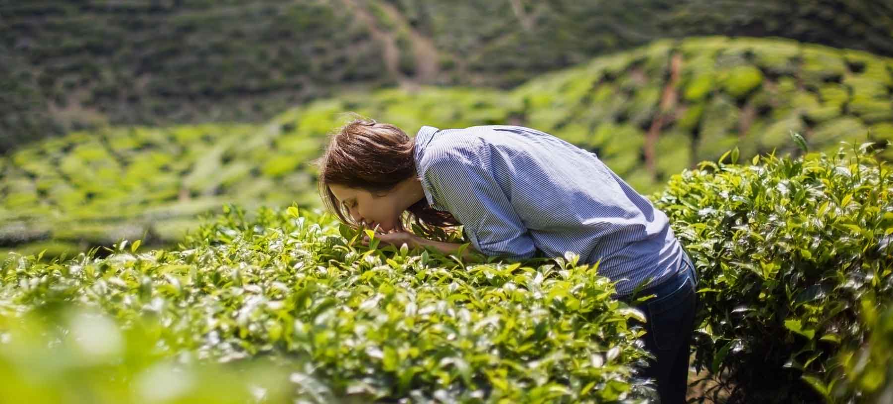 Aromaterapia ricordi benessere annusare