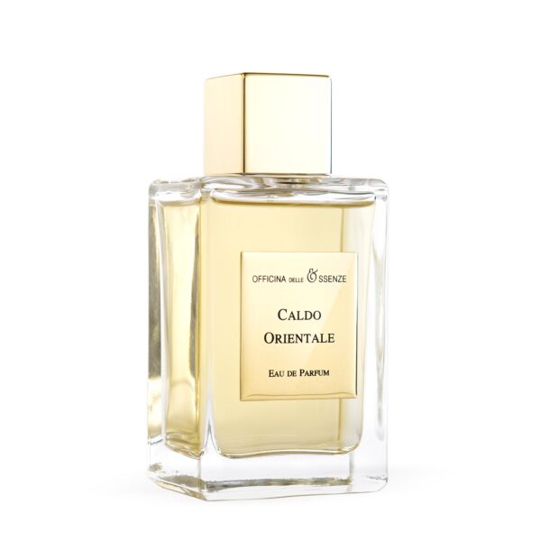 niche perfume meaning