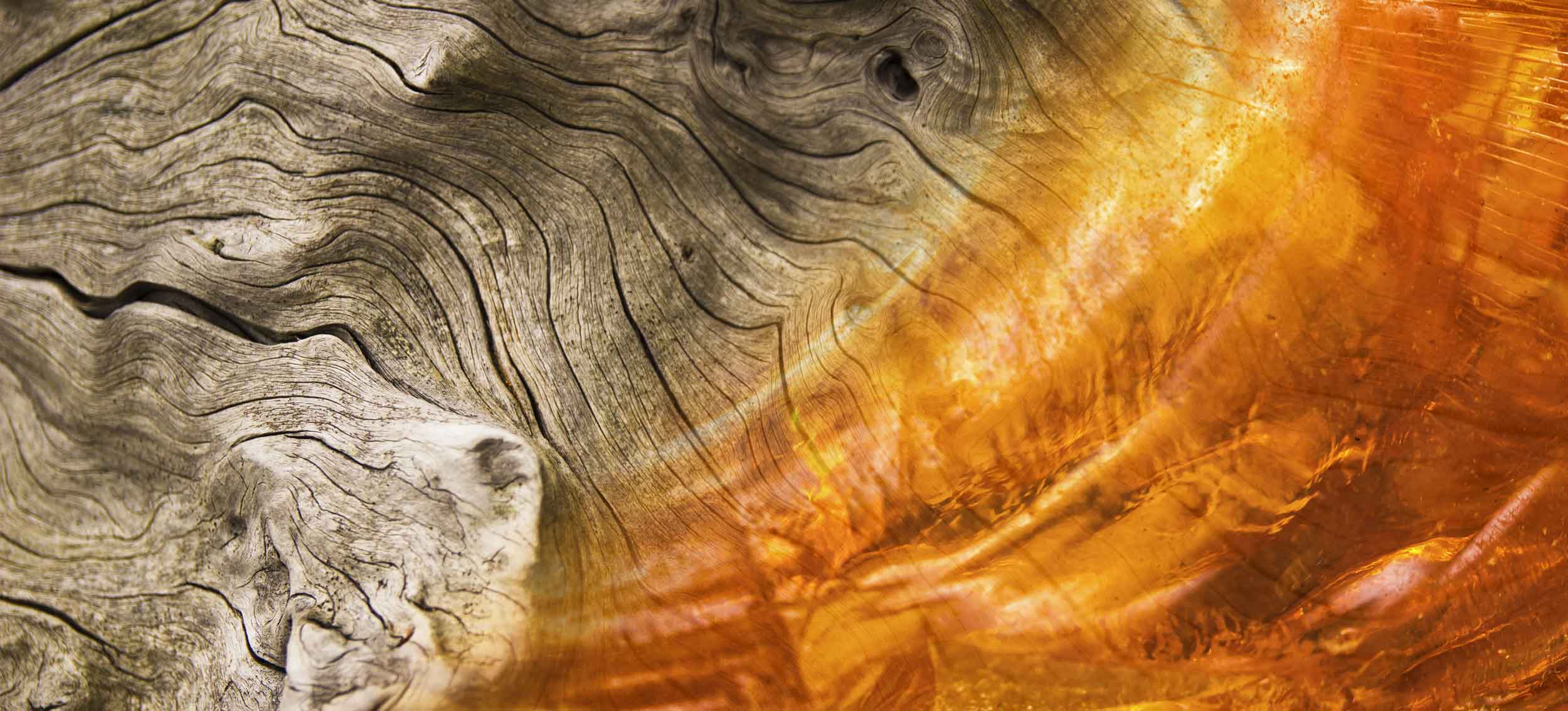 Oud_Gourmand_agarwood_resina_Officina_delle_Essenze_3 Oud Gourmand - Agarwood - Officina delle Essenze
