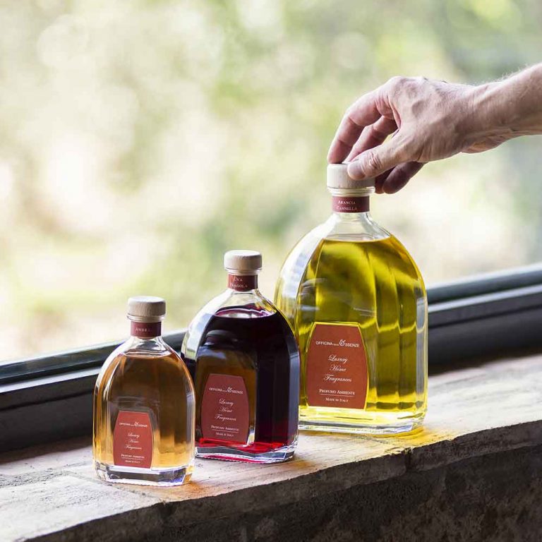 Blueberry & Grape Home reed diffuser with essential oils