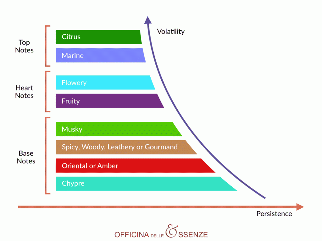 Olfactory Pyramid with top notes, heart notes and base notes.