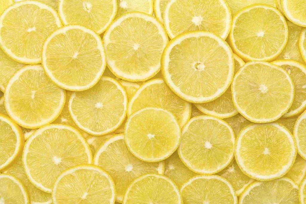 Freschezza dei limoni
