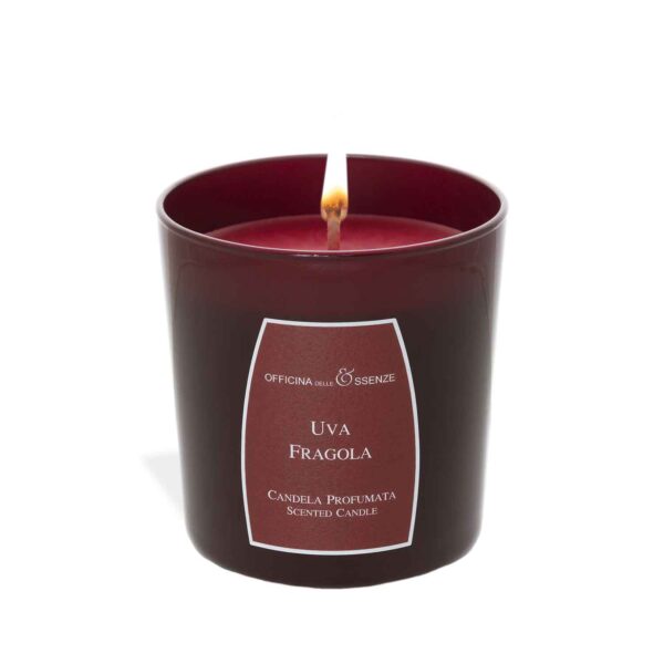 Blueberry & Grape scented candle