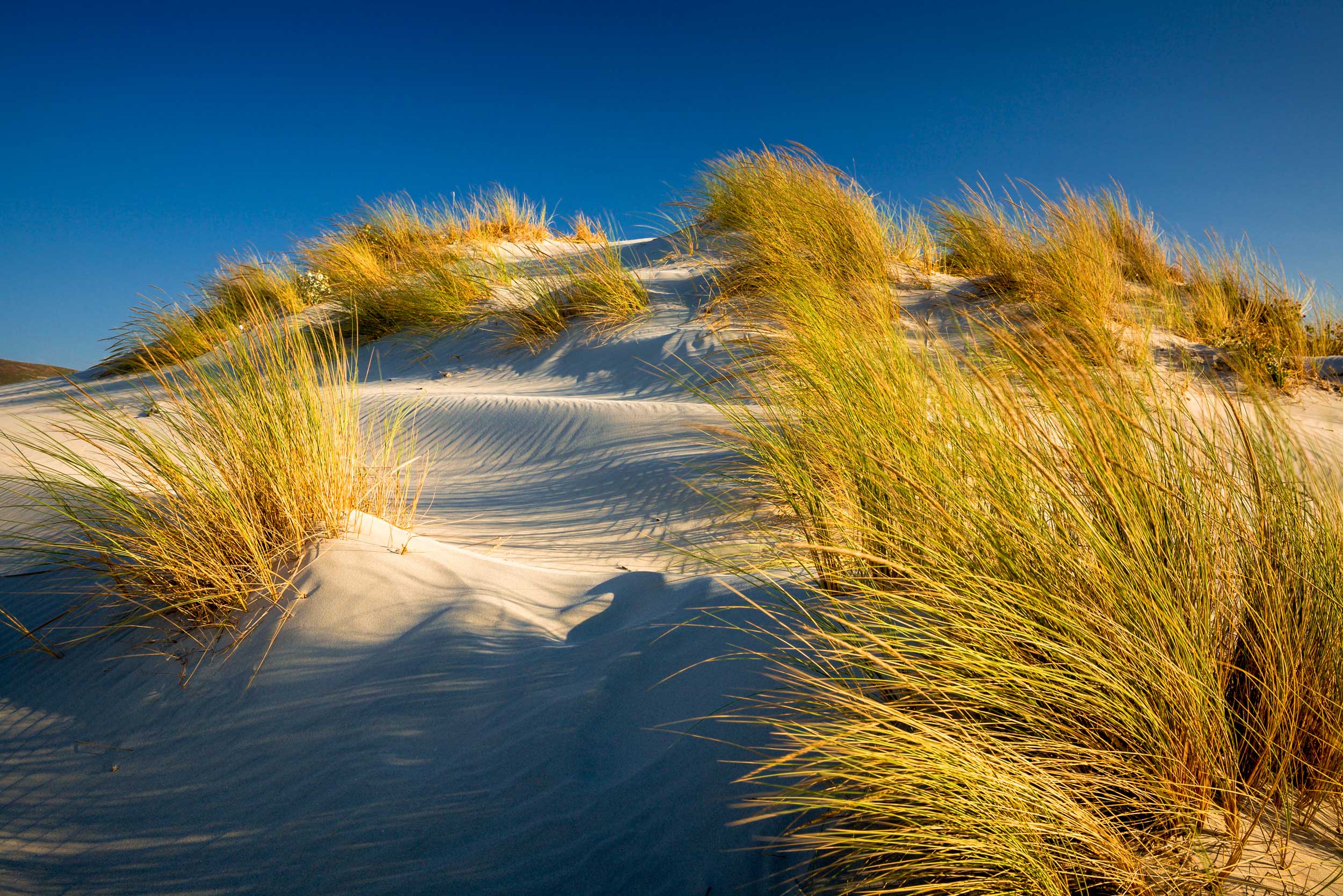 Sand Dunes in Sardinia