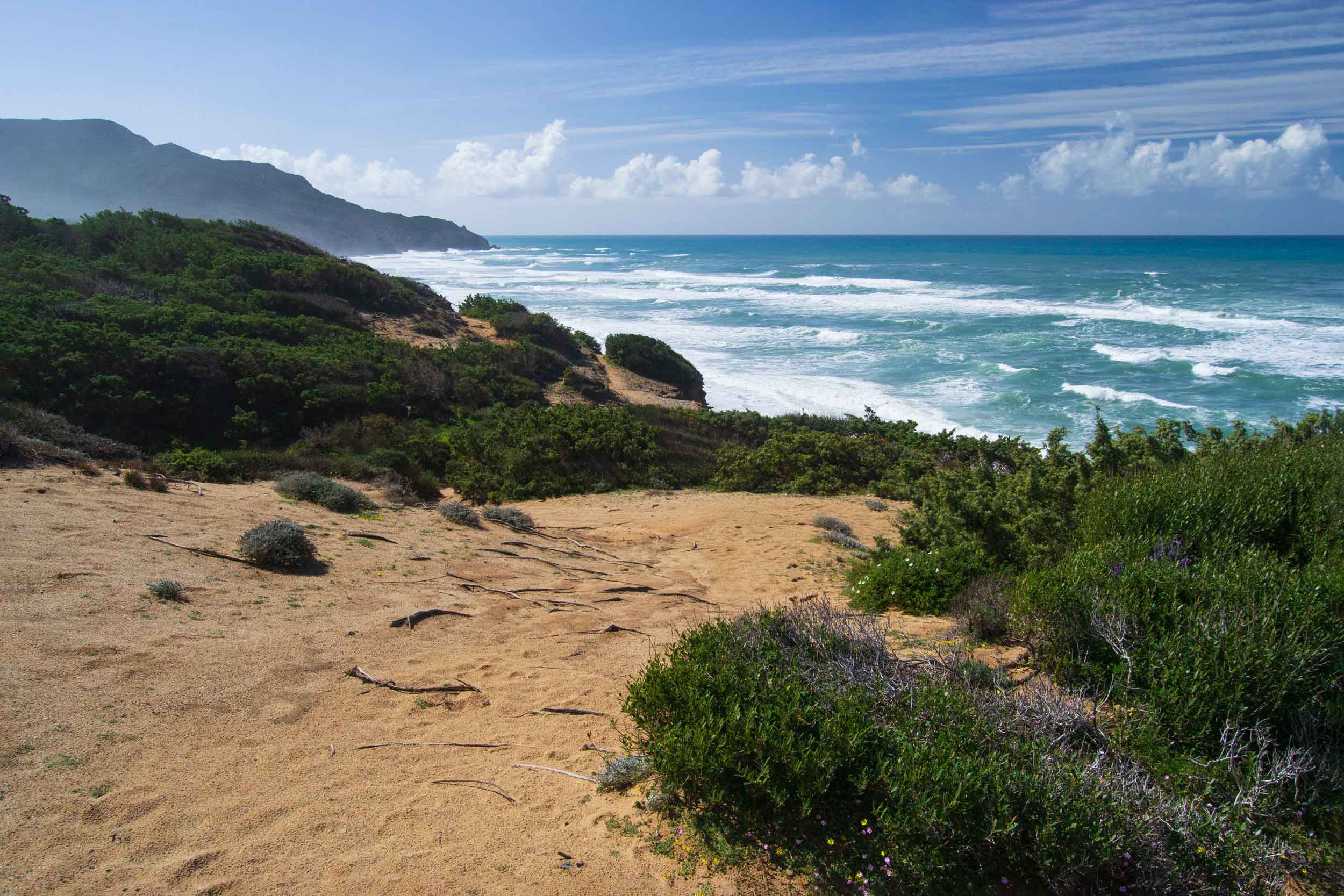 Mediterranean Scrubland