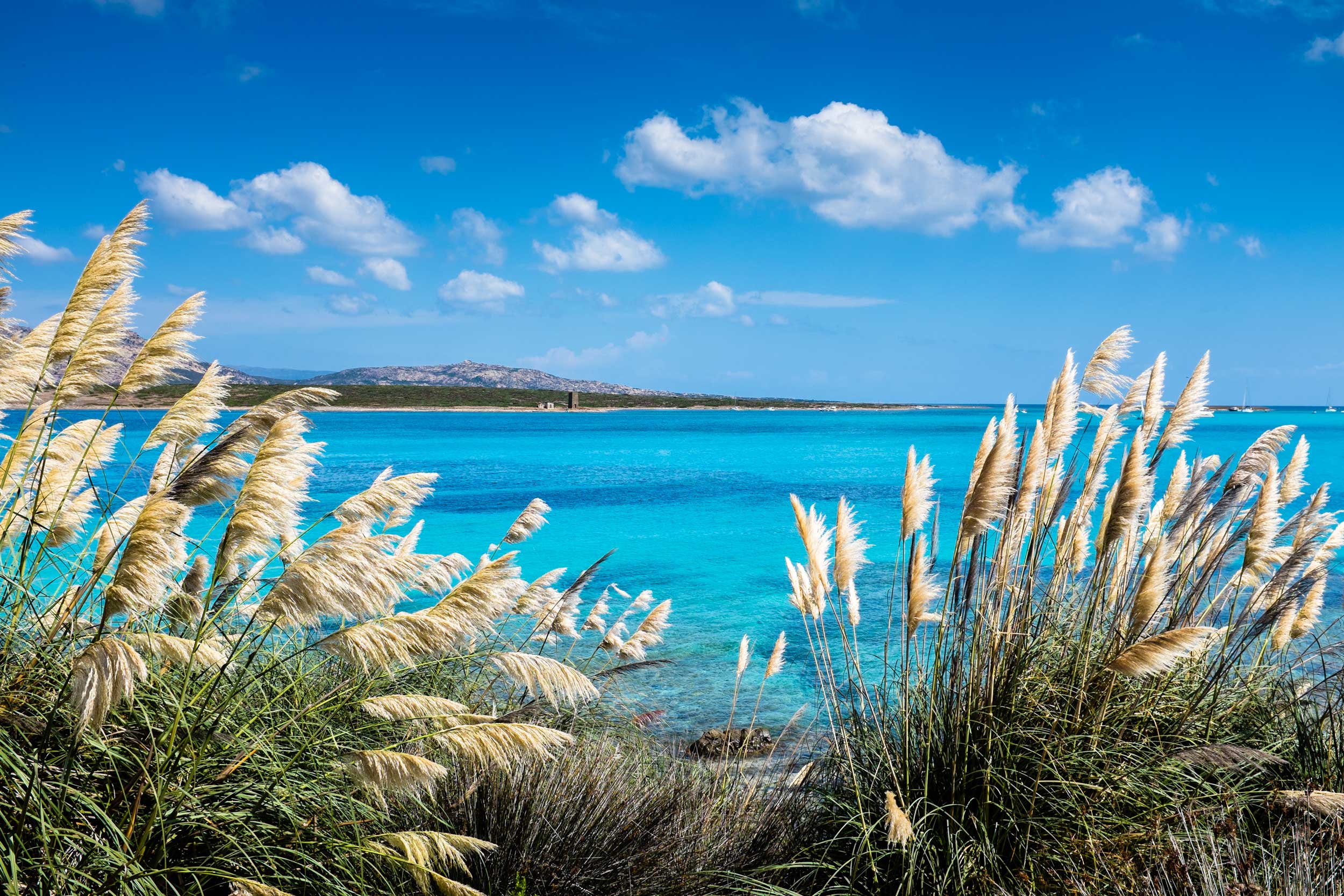 Sea View in Sardinia